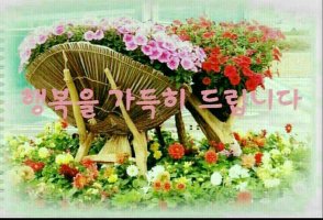 분 이미지