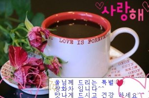 인생이란 껴안고 즐거워 해야 하는 것