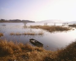 [우포늪/경남여행지/창녕여행지] 경남 창녕군 우포늪