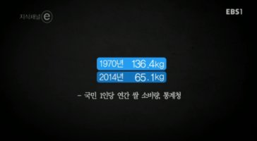 WIKITREE | 11월 11일 농업인의 날, 쌀 한톨이 가지고 있는 역사와 힘