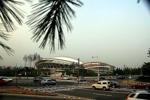 시흥 관곡지에서 안산 해바라기까지