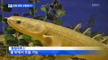 물고기,코끼리 이미지