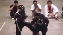 YTN뉴스 2017년 6월 15일