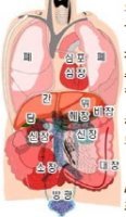 오장육부