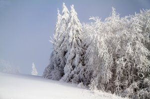 경북 가볼만한곳 겨울산행 영주 소백산 속리산 문장대 봉화 청량산 칠곡 팔공산 울릉 성인봉