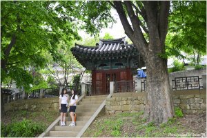 [명사와 함께 하는 지역 이야기-전주/이석 황손]/경기전/승광재/오목대/이목대/자만벽화마을/전통술체험/한지체험