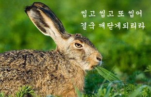 이 시대에 인생을 살아가는 방법. 우리가 성장할때와 는 전혀다른 세상...