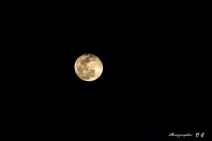 20190122 Super Moon