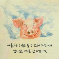 넘어짐도 감사합니다.