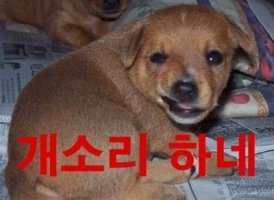 홍*표 이미지