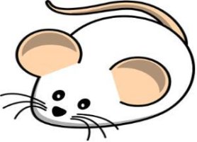큰쥐 및 쥐 태몽 모음