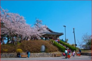 알찬 강릉 여행 경포대를 중심으로 한 당일 코스
