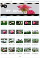 관곡지 연꽃 [대동여지도/경기도/시흥시/한국사진뉴스]
