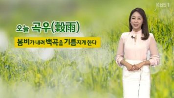 곡우에 비가 오면 풍년이 든다 !