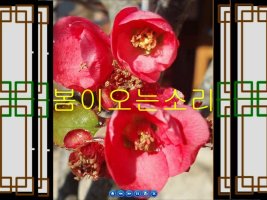 봄이 오는 소리