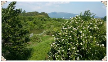 화왕산~우포 늪