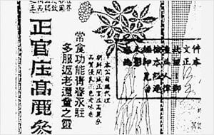 삼이유통 이미지