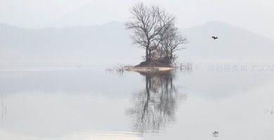 버리고 떠난다는 것은