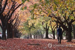 내일 입동 맞아 기온 '뚝'...일부 지역 아침 영하권