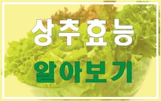 상추 효능 및 부작용 알아보기