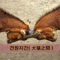 견원지간(犬猿之間)