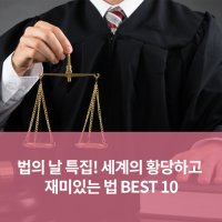 법의 날 특집! 세계의 황당하고 재미있는 법 BEST 10