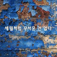 [세월처럼 무서운 건 없다]