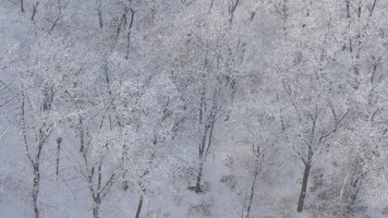 폭설