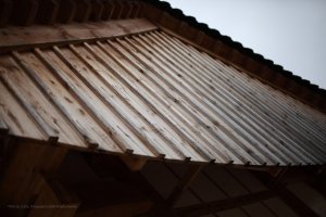 전주 한옥마을 전동성당 가을맞이.