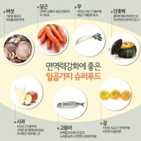 체내 면역력을 높이는 방법 ...