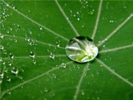 마케팅전략72계_고객구분방법(고객의식_고객심리구조_고객육성전략과방법_고객홍보방안_고객별구매패턴)과 고객을육성해야하는 이유_고사성어 수적천석