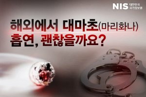 캐나다에서 대마초(마리화나) 흡연, 괜찮을까요?!