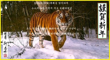 임인년 연하장 띄웁니다.