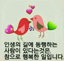 기쁨 이미지