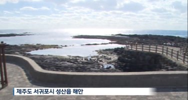 비바리뱀이란? '제주도 방언으로 처녀 뜻해'