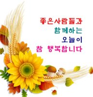 일상의 기적 !!