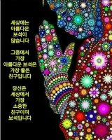 보석사진 이미지