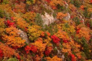 설악산 오색약수에서 대청찍고 한계령으로