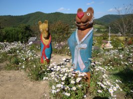 정읍 구절초 축제