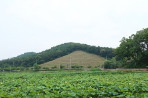 관곡지