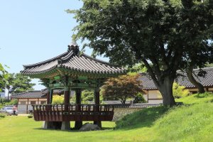 시흥 관곡지 여름 風景 (20180718)