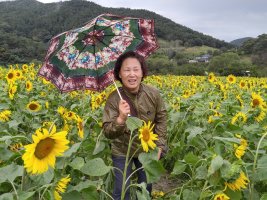 정읍 구절초 축제