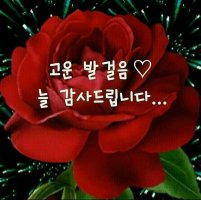 건강 상식 ㅡ모든 김치의 효능 ㅡ60세 이상은ㅡ 꼭 정독하세요ㅡ김치를 먹으면 ㅡ만병 예방약 이다