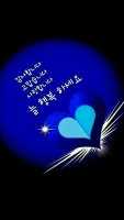 전동성당 화단 아래 다소곳이 핀 복수초꽃