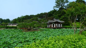 강릉 선교장