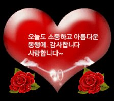 인생이란 껴안고 즐거워 해야 하는것
