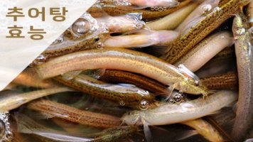 추어탕의효능 알아보기