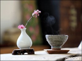 [������ ����] ˭���� ��������(���� �ϰ� ��ġ�� �ڴ� �� ����� ���� ���Ѵ�)