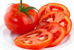 토마토연구소 이미지