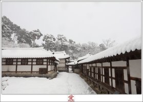 강릉 선교장 눈내리는 풍경